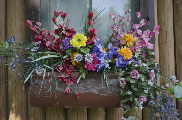 Close-up of potted flowers