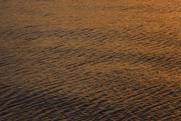 Rippled water reflecting golden light