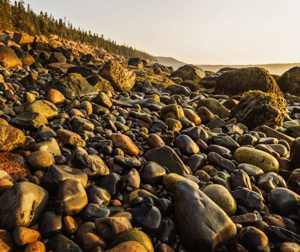 Rocks on beach at sunrise