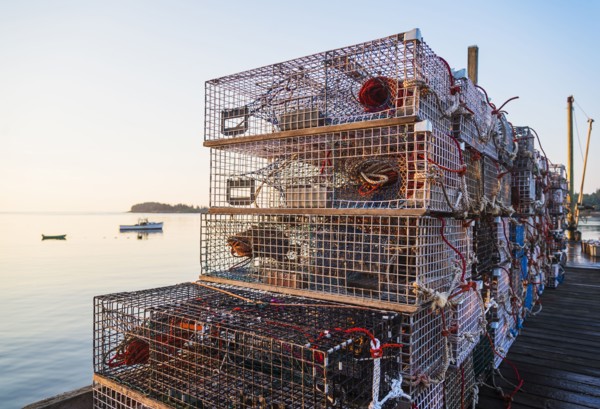 Stacks of lobster traps at sunrise