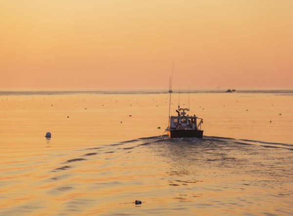 Boat on sea at sunrise