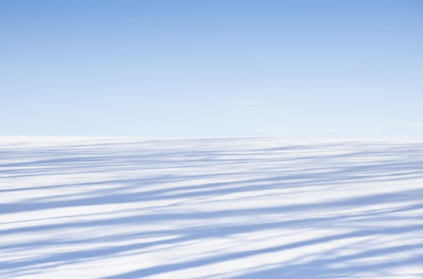 Shadows on snowy field