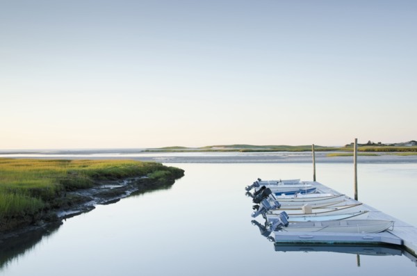 Boats moored in dock