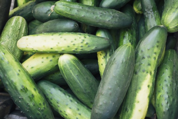 Heap of cucumbers