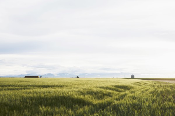 Scenic rural landscape