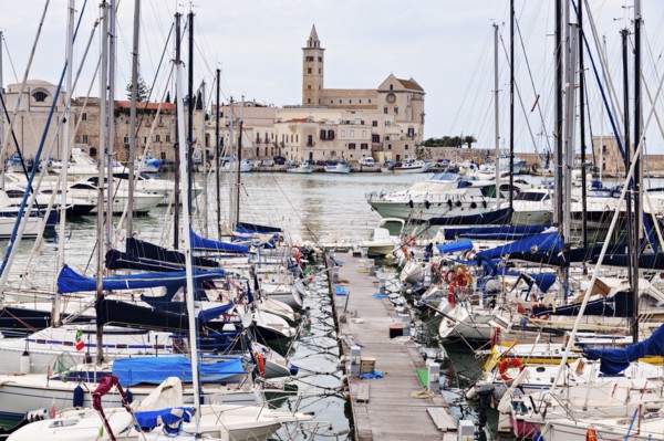 Boats in marina with city buildings in background