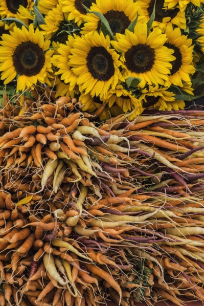 Carrots and sunflowers in farmers market