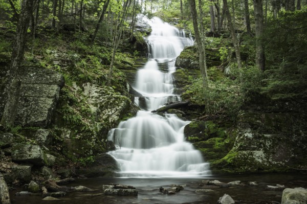 Waterfall falling into river in middle of forest