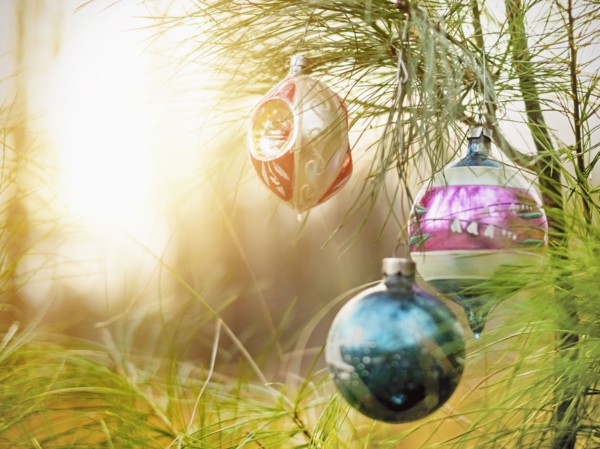 Christmas ornaments hanging from tree.
