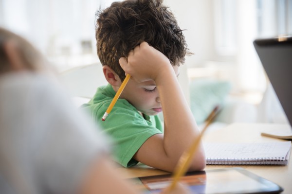 Boy (8-9) concentrating on homework