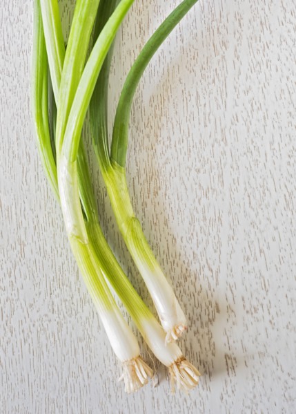 Studio shot of spring onion