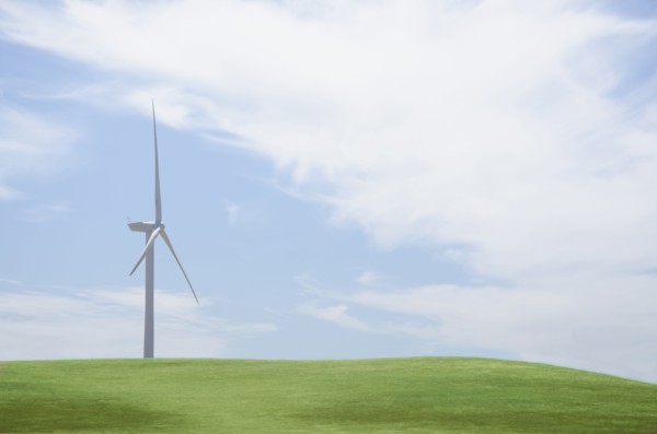 Wind turbine in field on sunny day