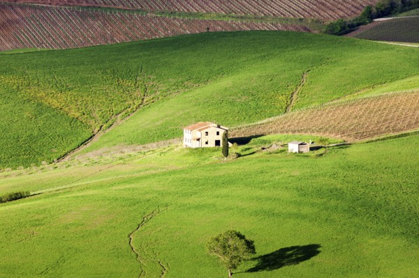 Green rolling landscape with farmhouse