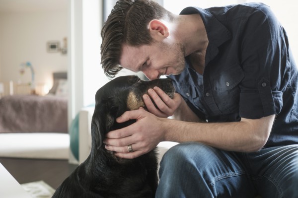 Man playing with dog in living room.