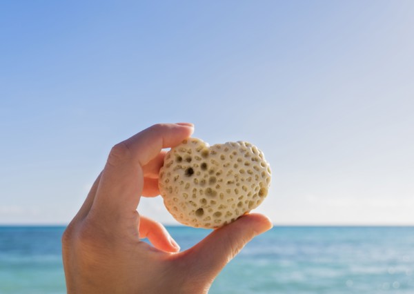 Hand holding heart-shaped shell against sea and blue sky