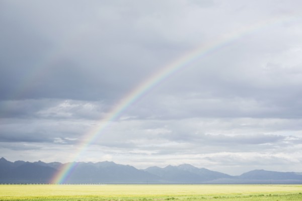 Rainbow over agricultural field