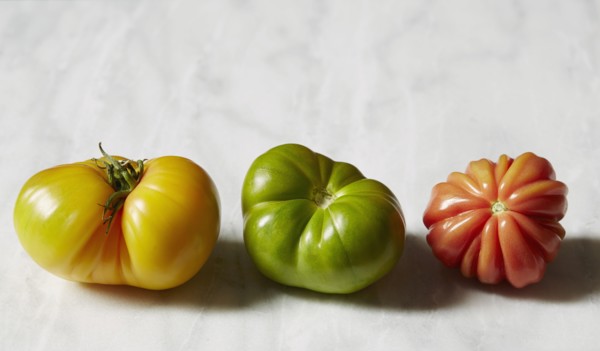 Tomatoes on white background