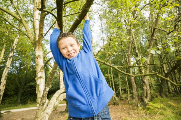 Smiling boy (6-7) hanging on tree