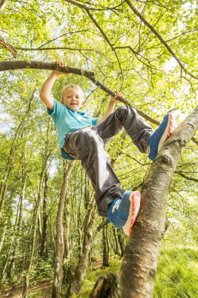 Boy (8-9) hanging on branch