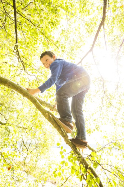Boy (6-7) climbing branch