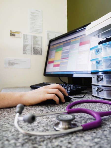 Vet using computer