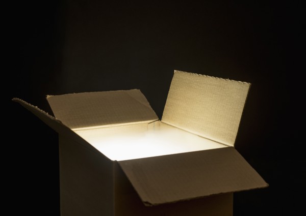 Open cardboard box.
