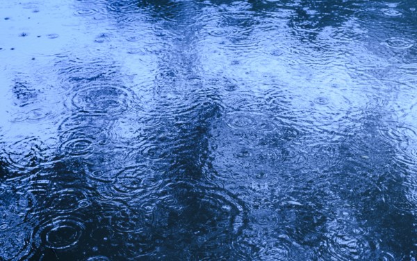 Rippled pond on rainy day.