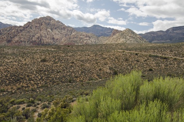 Nevada, Red Rock Canyon, Landscape with rock mountains