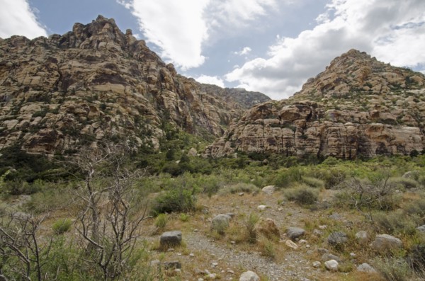 Nevada, Red Rock Canyon, Landscape with rock mountains