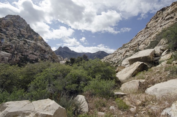 Nevada, Red Rock Canyon, Landscape with rock mountains