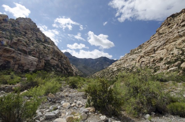 Nevada, Red Rock Canyon, Landscape with rock mountains