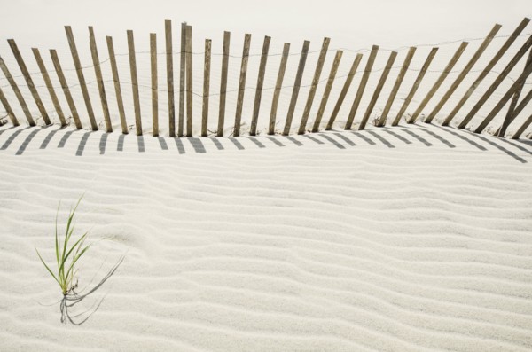 Massachusetts, Nantucket Island, Sand fence on beach