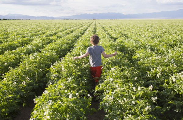 Boy (6-7) walking in field