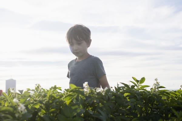 Boy (6-7) walking in field