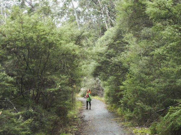 Australia, New South Wales, Katoomba, Young woman walking along empty road in forest