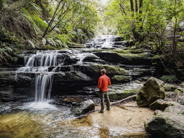 Australia, New South Wales, Blue Mountains National Park, Leura Cascades, Young man standing by waterfall in forest