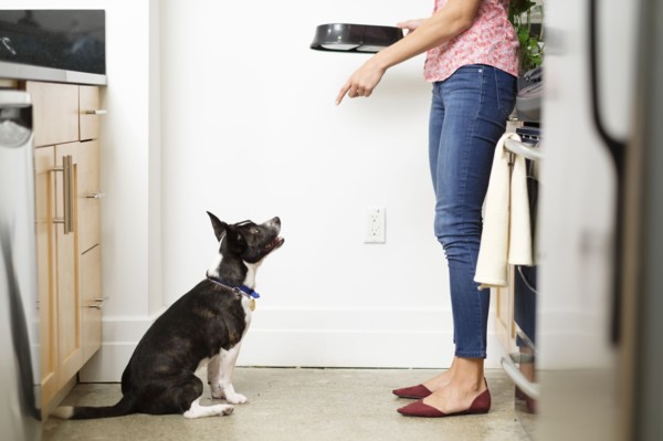 Woman feeding dog in kitchen.