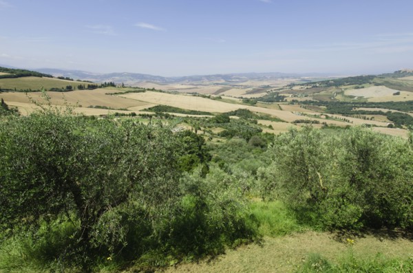 Italy, Tuscany, Pienza, Landscape with blue sky