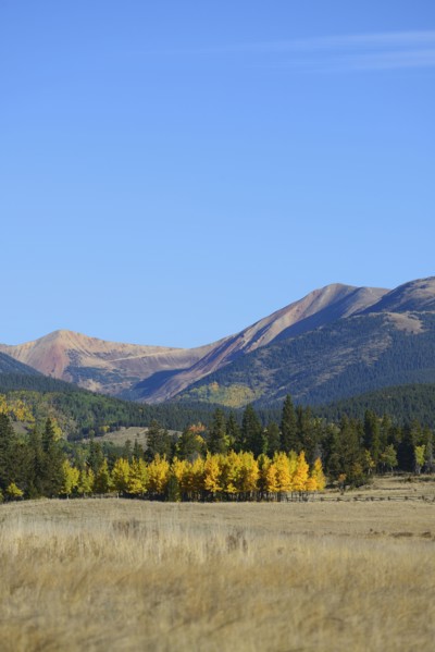 USA, Colorado, Kenosha Pass in fall