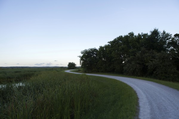 Country road under clear sky