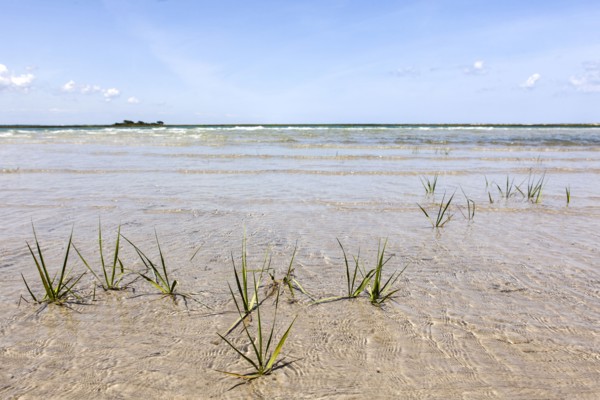 Beautiful ocean landscape
