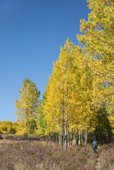 USA, Colorado, Hiker at Kenosha Pass