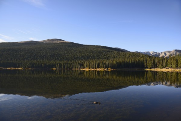 USA, Colorado, Mount Evans and forest reflecting in Echo Lake