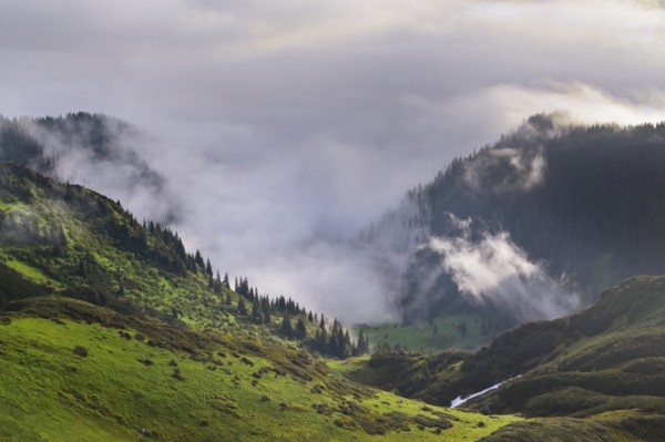 Ukraine, Zakarpattia, Rakhiv district, Carpathians, Maramures, Mountain landscape