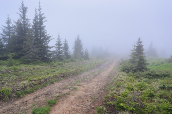 Ukraine, Zakarpattia, Rakhiv district, Carpathians, Maramures, Hiking trail in wilderness