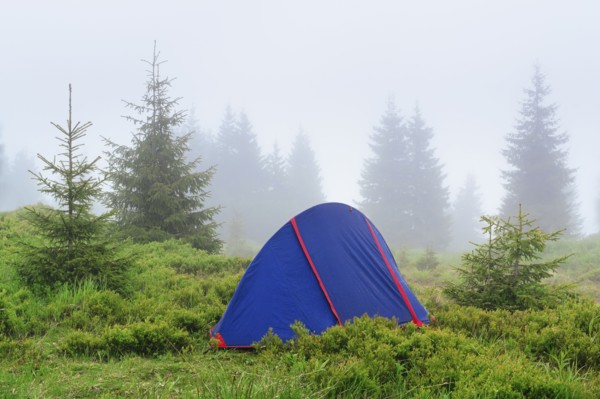 Ukraine, Zakarpattia, Rakhiv district, Carpathians, Maramures, Tent in wilderness