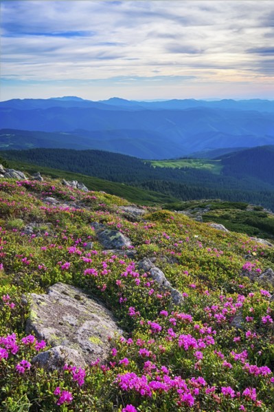 Ukraine, Ivano-Frankivsk region, Verkhovyna district, Carpathians, Chernohora, Mountain landscape on sunny day