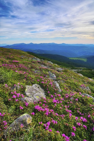 Ukraine, Ivano-Frankivsk region, Verkhovyna district, Carpathians, Chernohora, Mountain landscape on sunny day