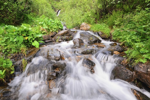 Ukraine, Ivano-Frankivsk region, Verkhovyna district, Carpathians, Dzembronskie waterfalls