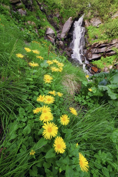 Ukraine, Ivano-Frankivsk region, Verkhovyna district, Carpathians, Dzembronskie waterfalls
